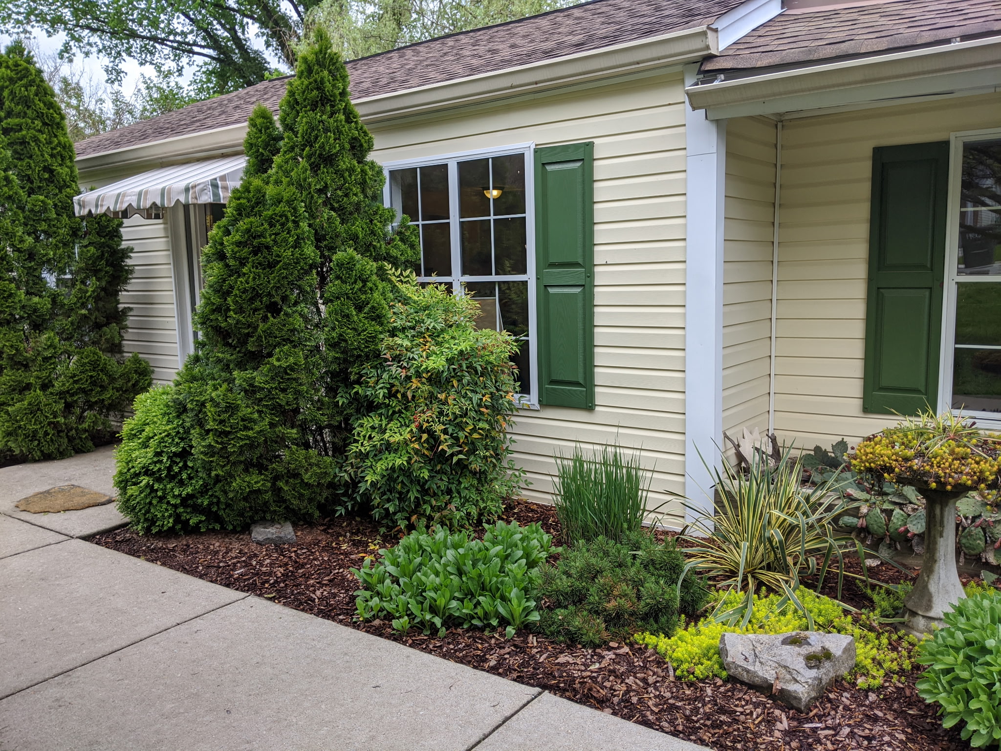 Residential landscaping with green shutters