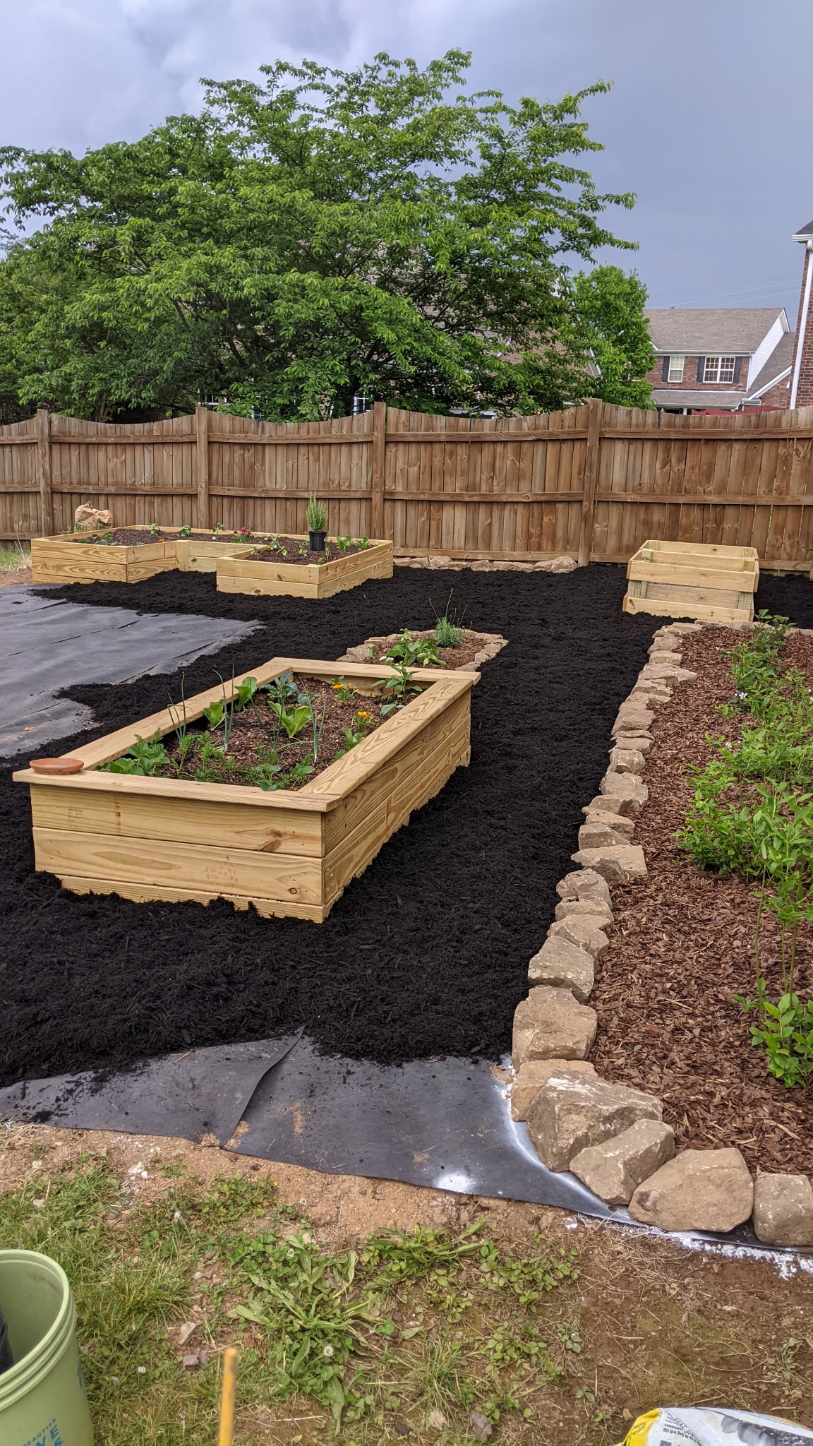 Multiple raised beds with mulch and stone edging